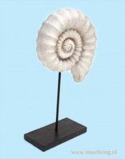 woonaccessoire-fossiel-op-standaard-woondecoratie-ammoniet-grote-schelp