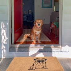 deurmat-hond-schoonloopmat-kokosmat-voordeur-Pug-lover