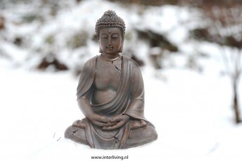 tuin-beeld-boeddha-steen