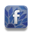 facebook icon mozaiek