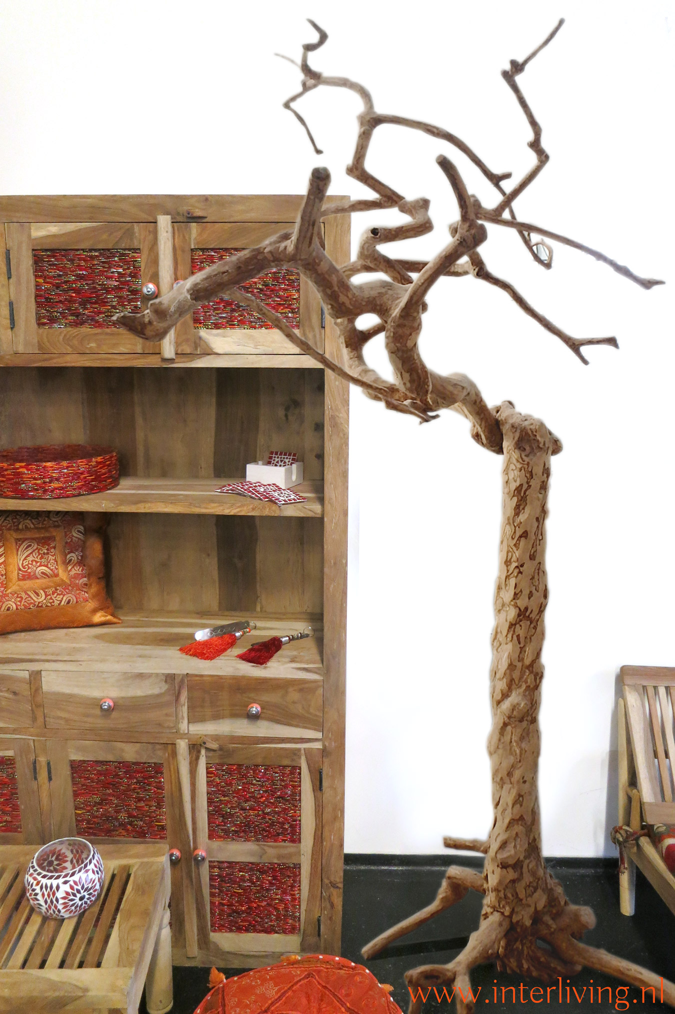 Java tree koffieboom met takken: uniek en stoere woondecoratie