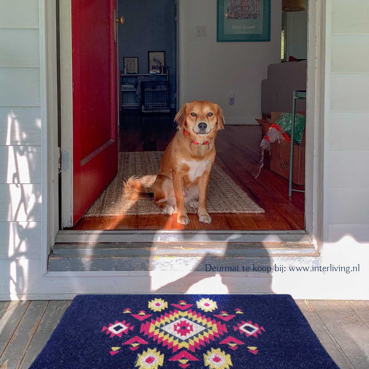 Kokosmat in hippy stijl voor bij de deur - duurzame schoonloopmat - deurmat