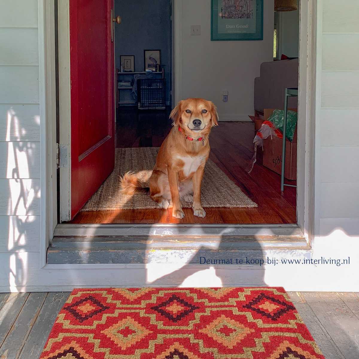 schoonloopmat met ruit patronen kelim stijl - vintage kilim look