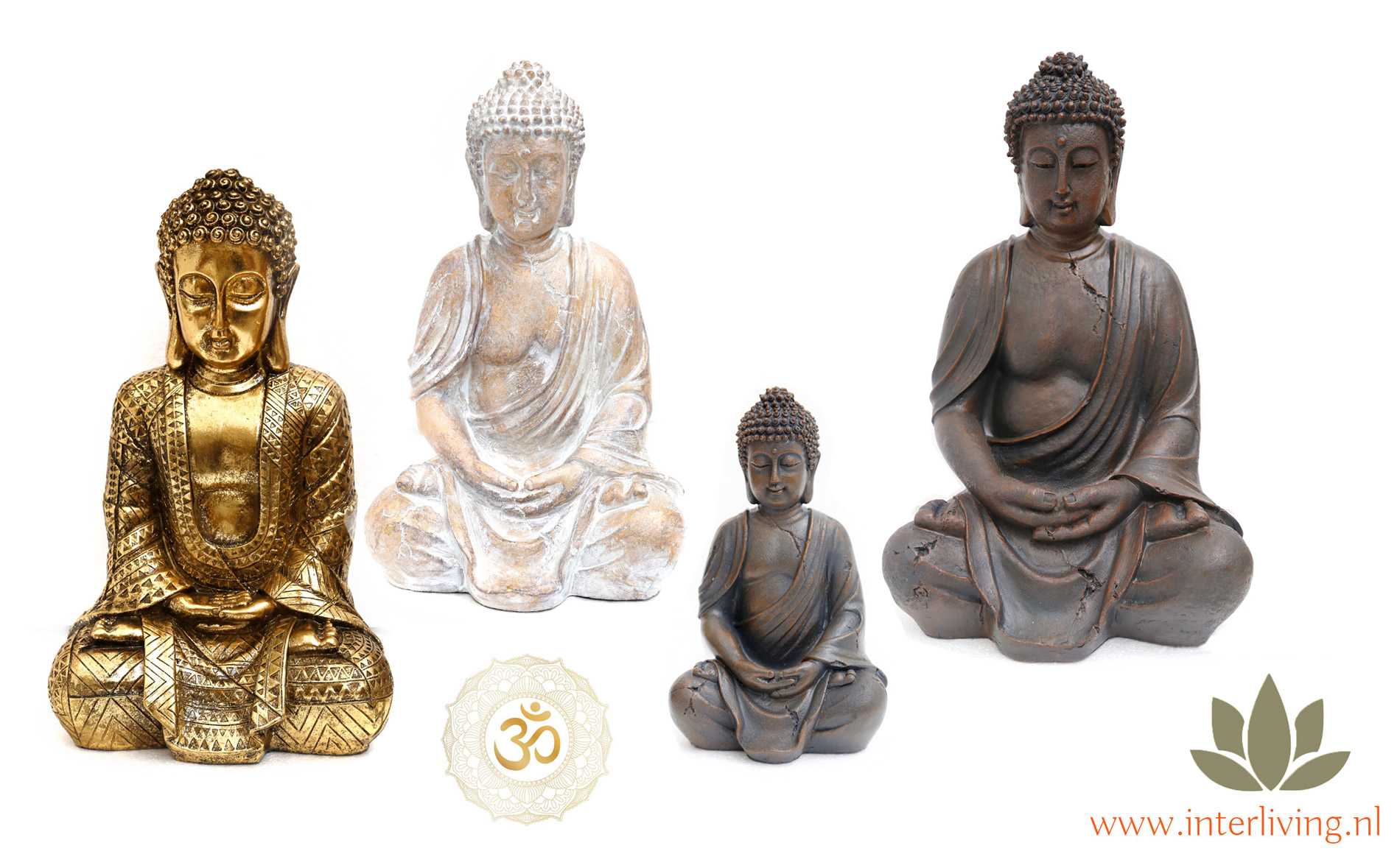 Waterig binnen Verwijdering Zittend Boeddha beeld in meditatie houding - sfeervol binnen of buiten