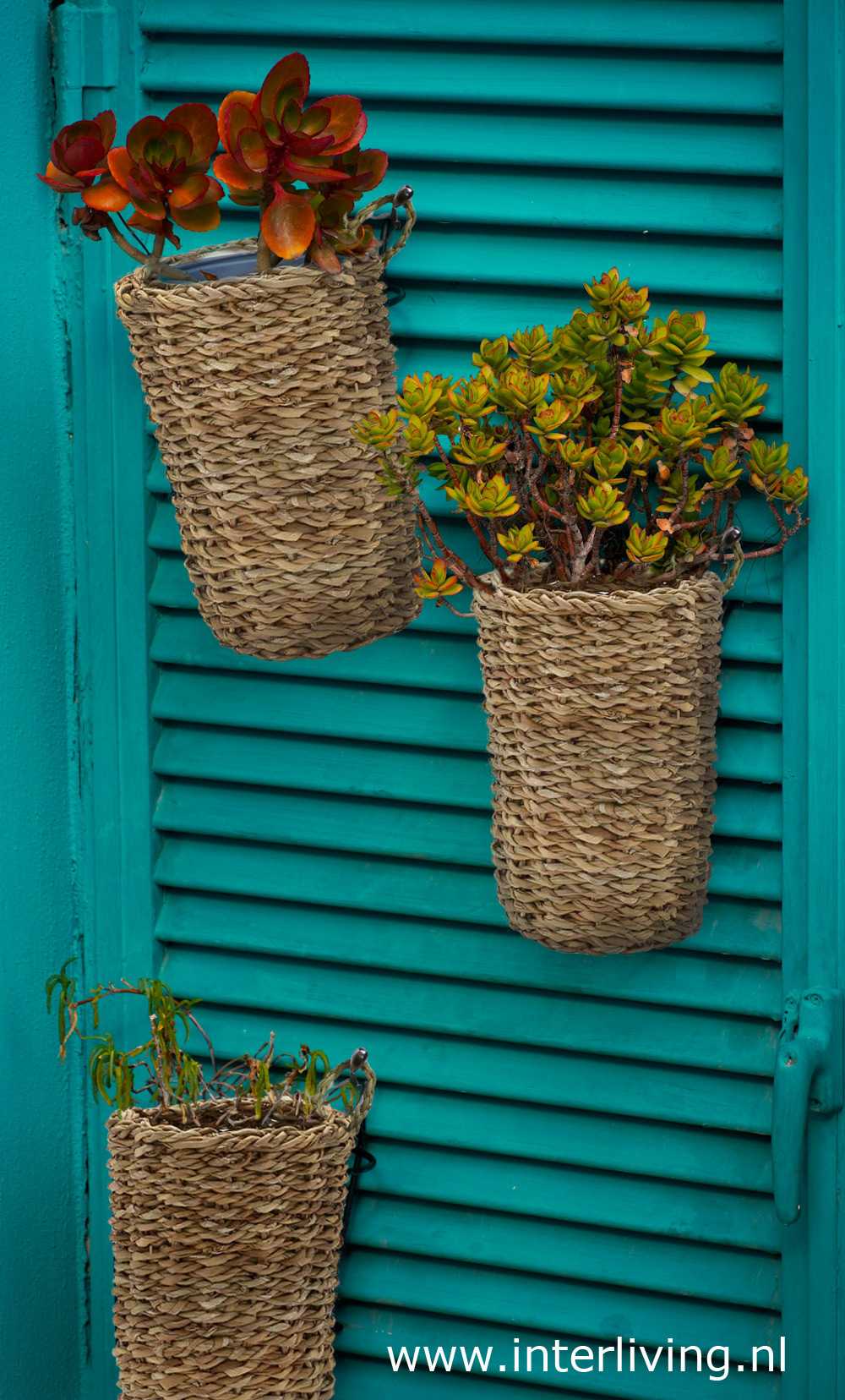 Tplantenhanger - basket -tuin idee Boho Ibiza eco tips